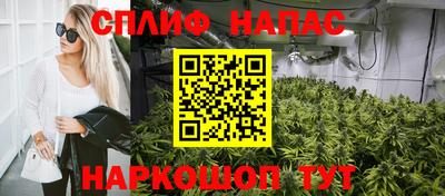 PSILOCYBIN Чапаевск