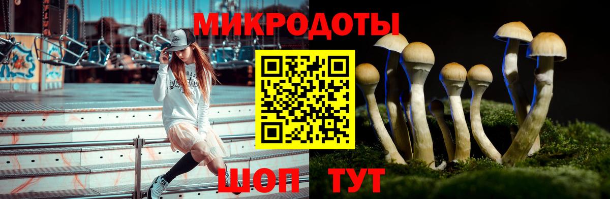 Псилоцибиновые грибы Psilocybe  Вход с VPN  Псилоцибиновые грибы Psilocybe  Кунгур 